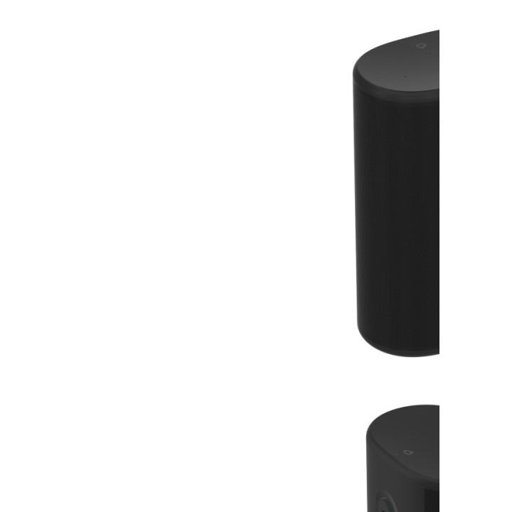 sonos roam nero